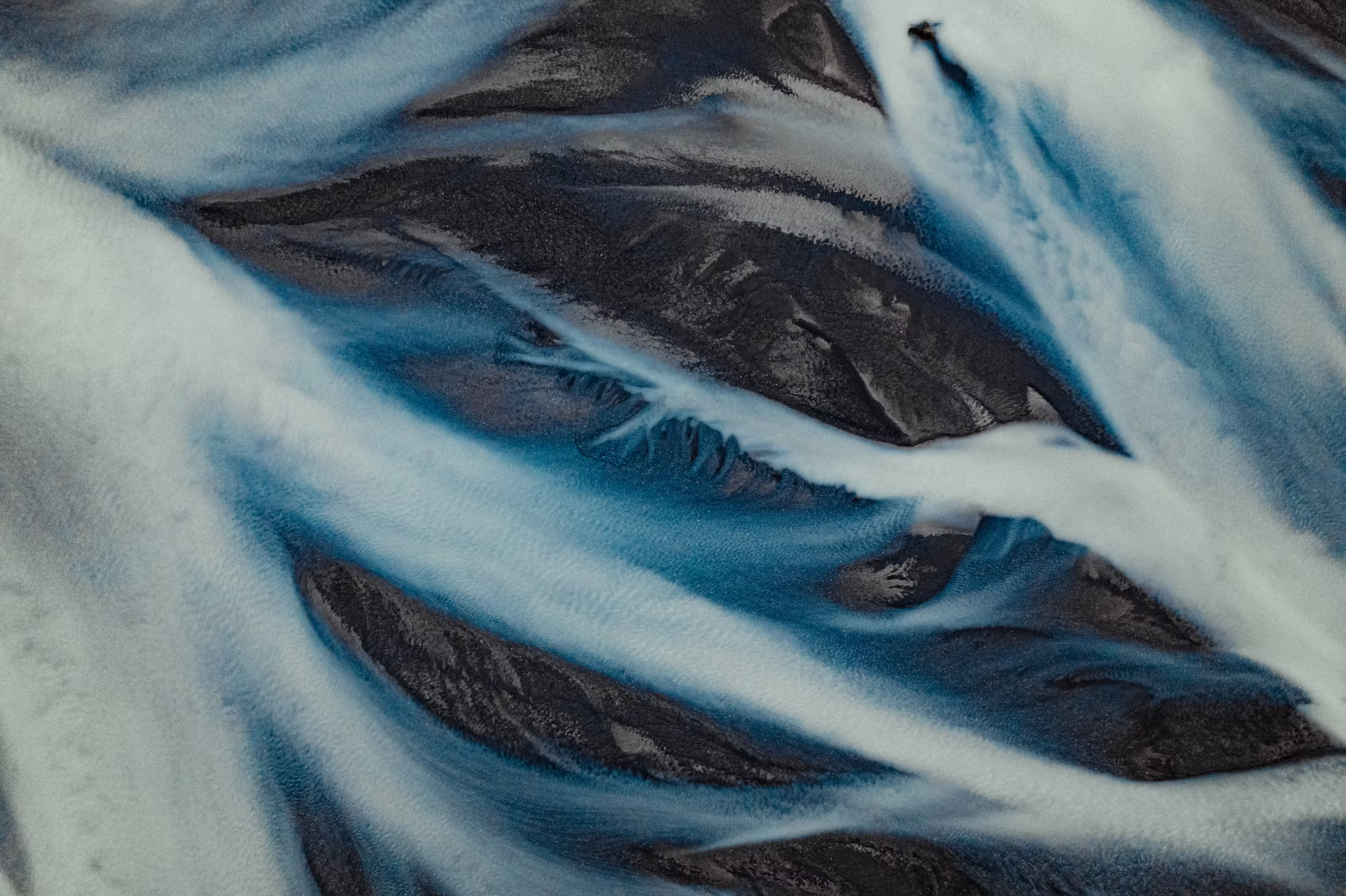 Discovering Nature: A Guide to the Many Faces of Hiking